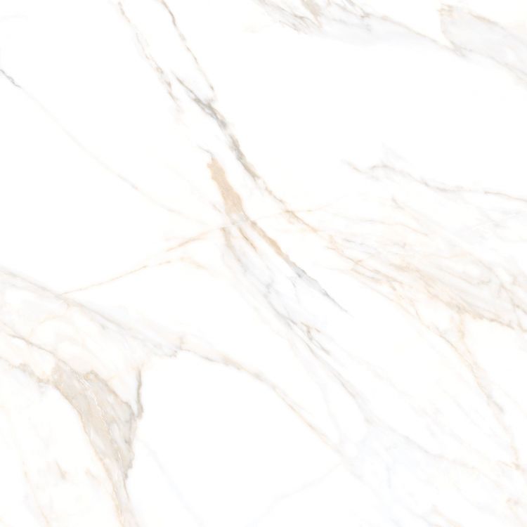 Aurum Calacatta Polished 36 x 36
